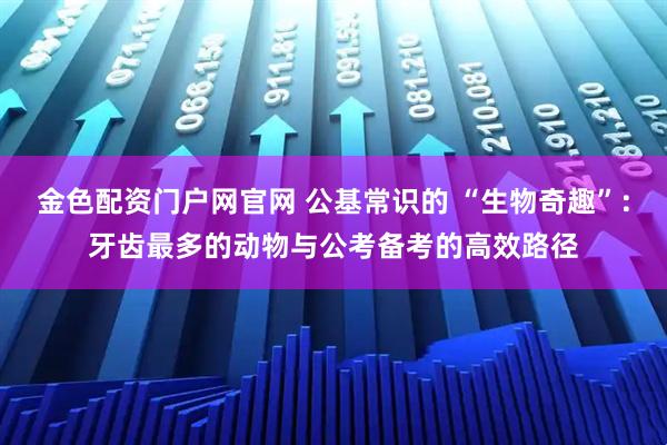 金色配资门户网官网 公基常识的 “生物奇趣”:牙齿最多的动物与公考备考的高效路径