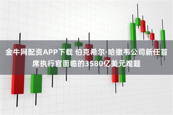 金牛网配资APP下载 伯克希尔·哈撒韦公司新任首席执行官面临的3580亿美元难题